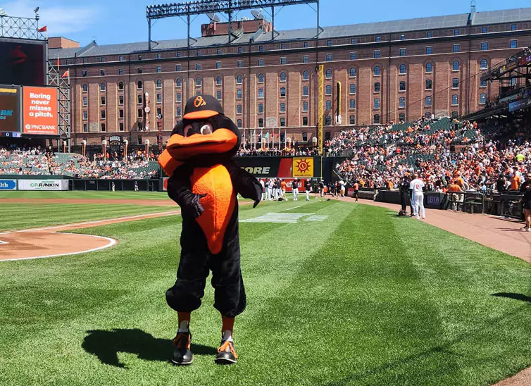 Camden Yard infield in Baltimore Maryland with the Oriole mascot in the foreground.